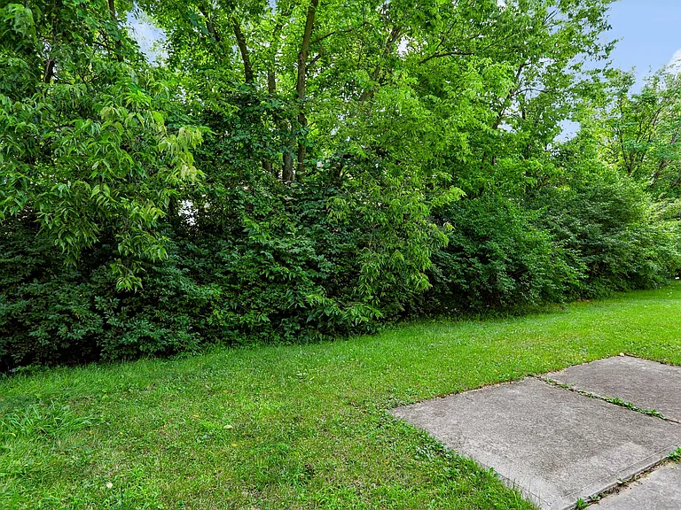 5439 Lake Boggs St — Photo 57