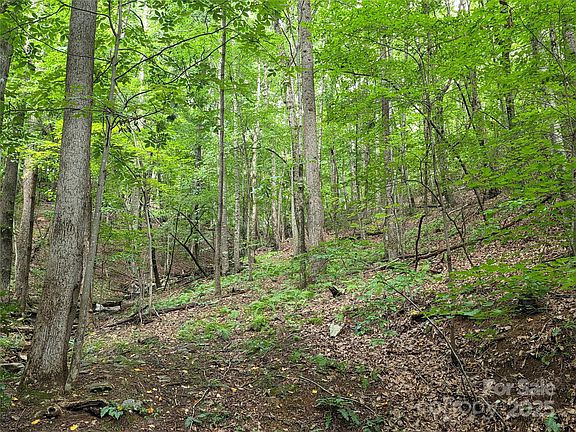 5th image of 800610 Ivy Rd #217