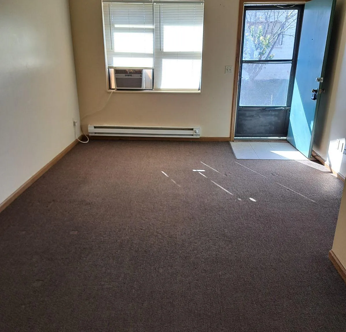 1 bed, 521 sqft, $150 — Photo 3