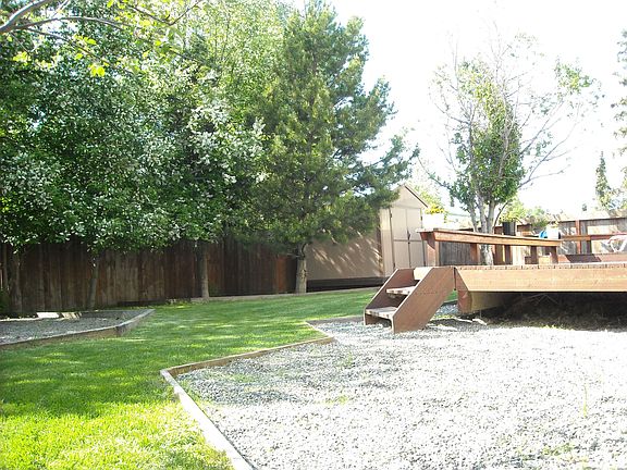 back yard