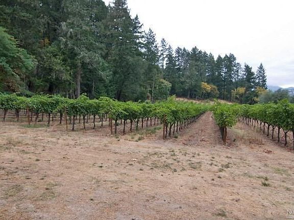 4th image of 4529 Saint Helena Hwy