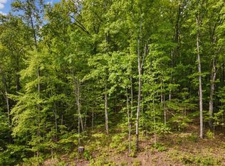 0 Joyner Hills Ln, Sevierville, TN 37876