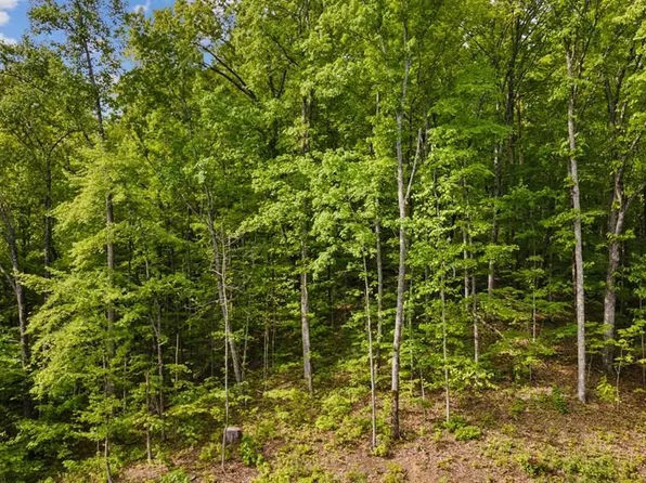 0 Joyner Hills Ln, Sevierville, TN 37876