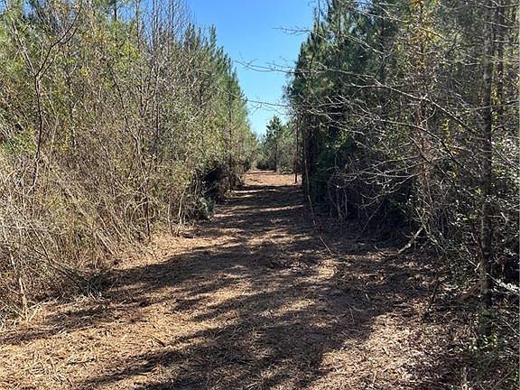 5th image of Robert Bateman Rd