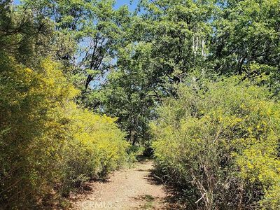 11890 Loch Lomond Rd Lot 46, Middletown, CA, 95461