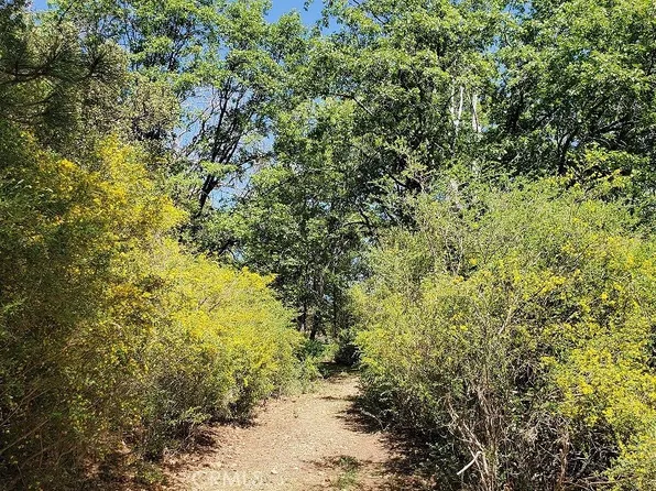 11890 Loch Lomond Rd Lot 46, Middletown, CA 95461