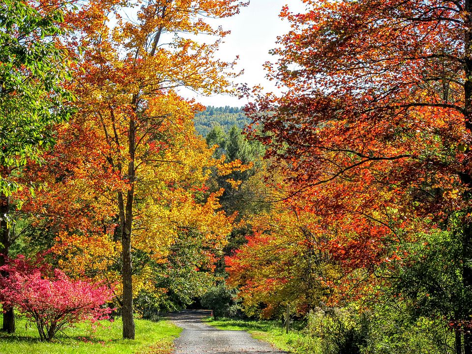 Driveway Colors