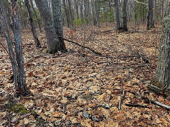 2nd image of LOT Cox Point Rd