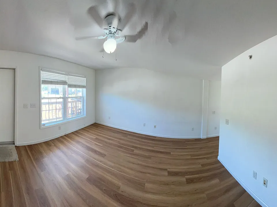 111 Yellowtail Loop #2