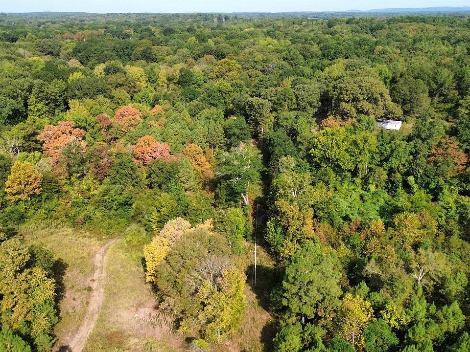1st image of Palmetto Loop