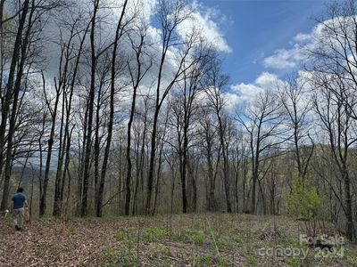 99999 Hickory Forest Rd, Fairview, NC, 28730