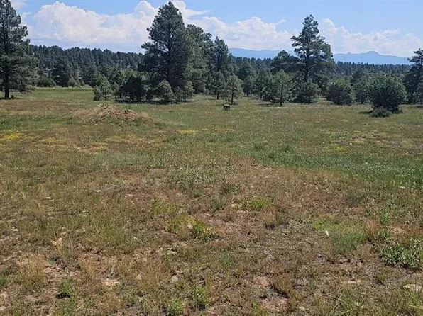 567 Sam Houston, Pagosa Springs, CO 81147