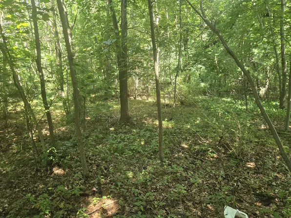 Whitehall Rd, Whitehall, MI 49461