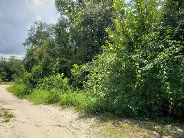 PINE VALLEY DRIVE LOT 20, PAISLEY, FL 32767