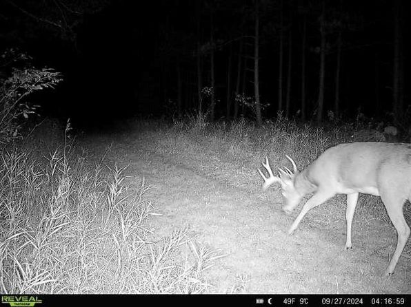 County Road K, Amherst, WI 54406