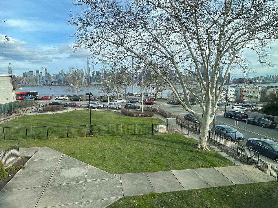View from Living room window