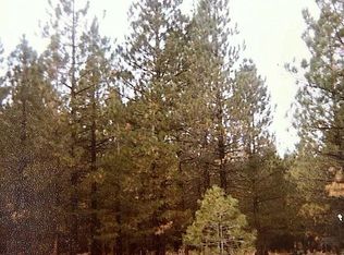 LOT A Rainier Rd, California Pines, CA 96101