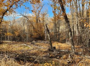 Burden Rd, Salmon, ID 83467