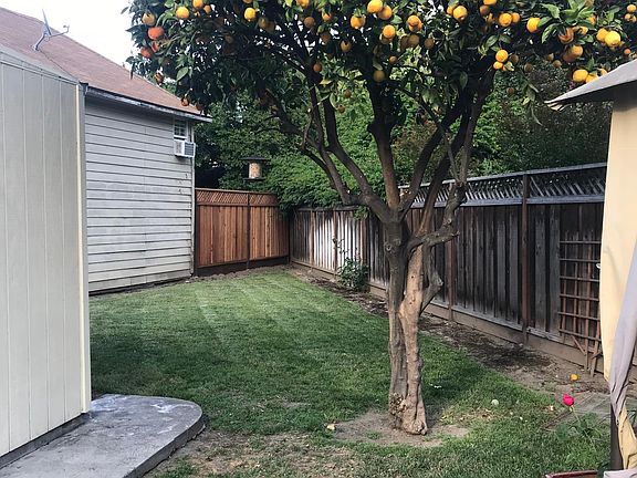 5th image of 1038 Bird Ave
