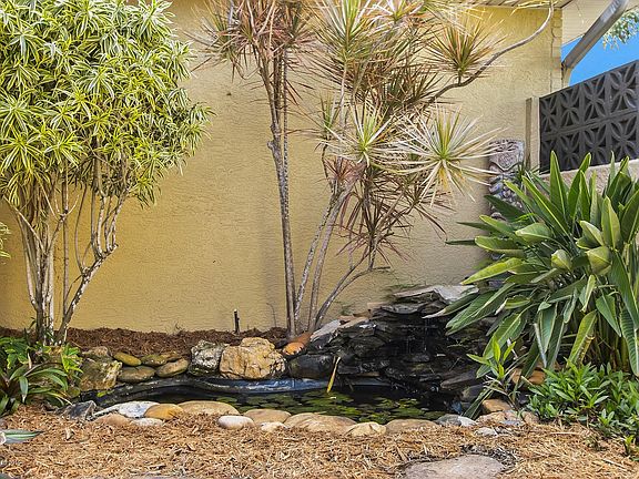KOI POND