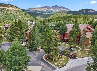 127 Broken Lance Dr APT A201, Breckenridge, CO 80424