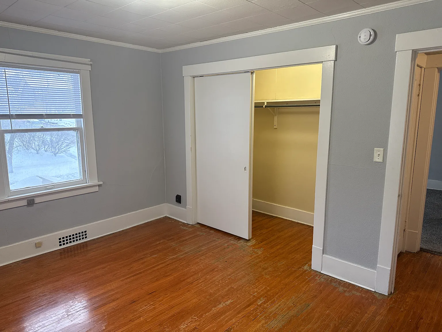 1 bed, $800 — Photo 4