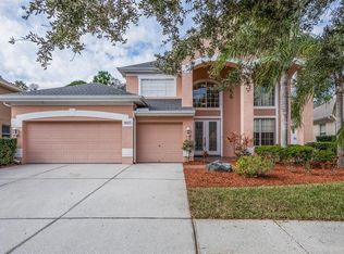11657 Renaissance View Ct, Tampa, FL 33626