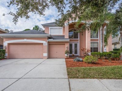 11657 Renaissance View Ct, Tampa, FL, 33626