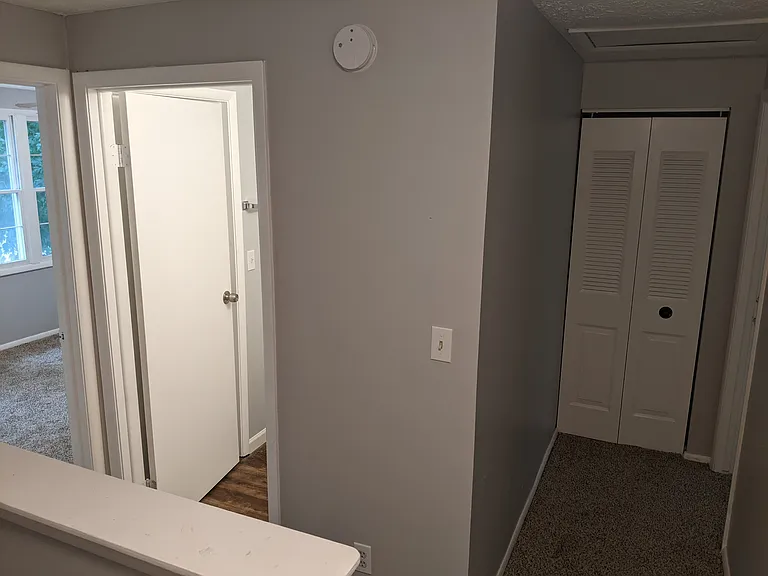 6463 Meadow Rue Dr — Photo 10