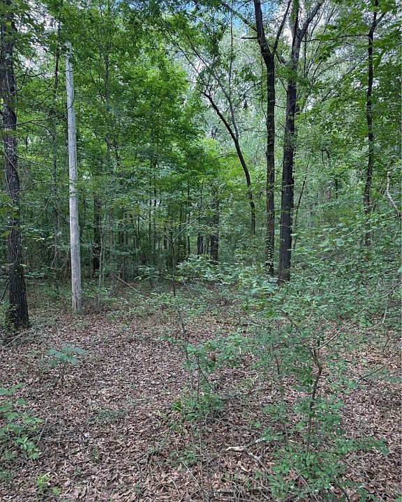 2nd image of Us Highway 64