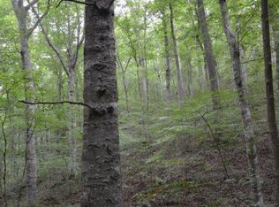 Bush Hollow Way, Sevierville, TN 37876