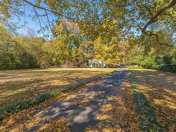 Dogwoods, Oaks, Maples, Gums