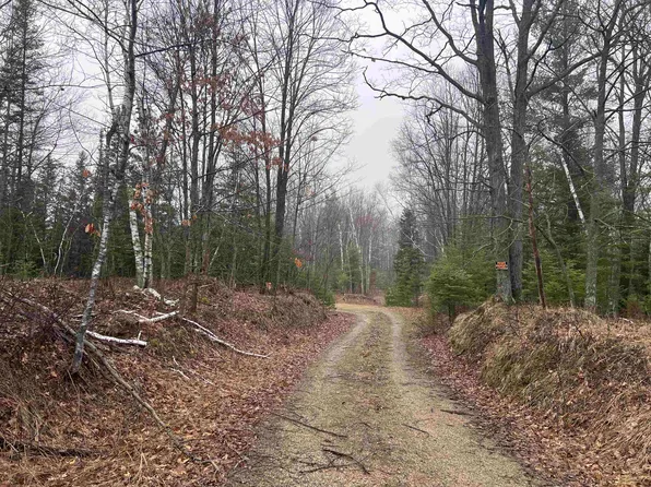 Nejedlo Rd #7, Wausaukee, WI 54177