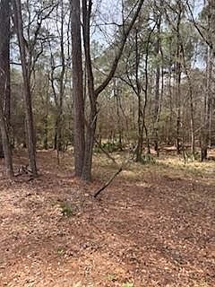 2nd image of 148 Brookhollow Dr