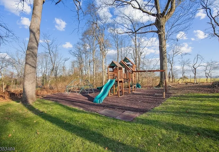 26 Spiked Rush Ct — Photo 31