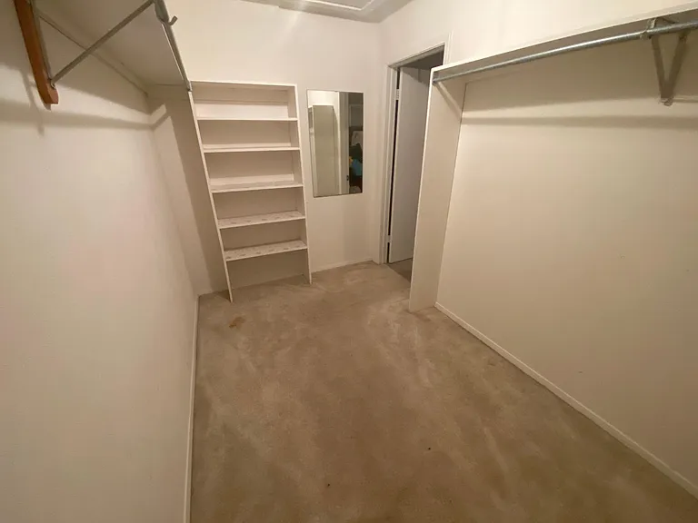 Master Walk-in Closet #2 (11'x7')