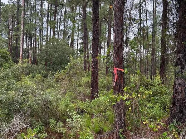 5900 Sally Ave N Lot 1, Lehigh Acres, FL 33971