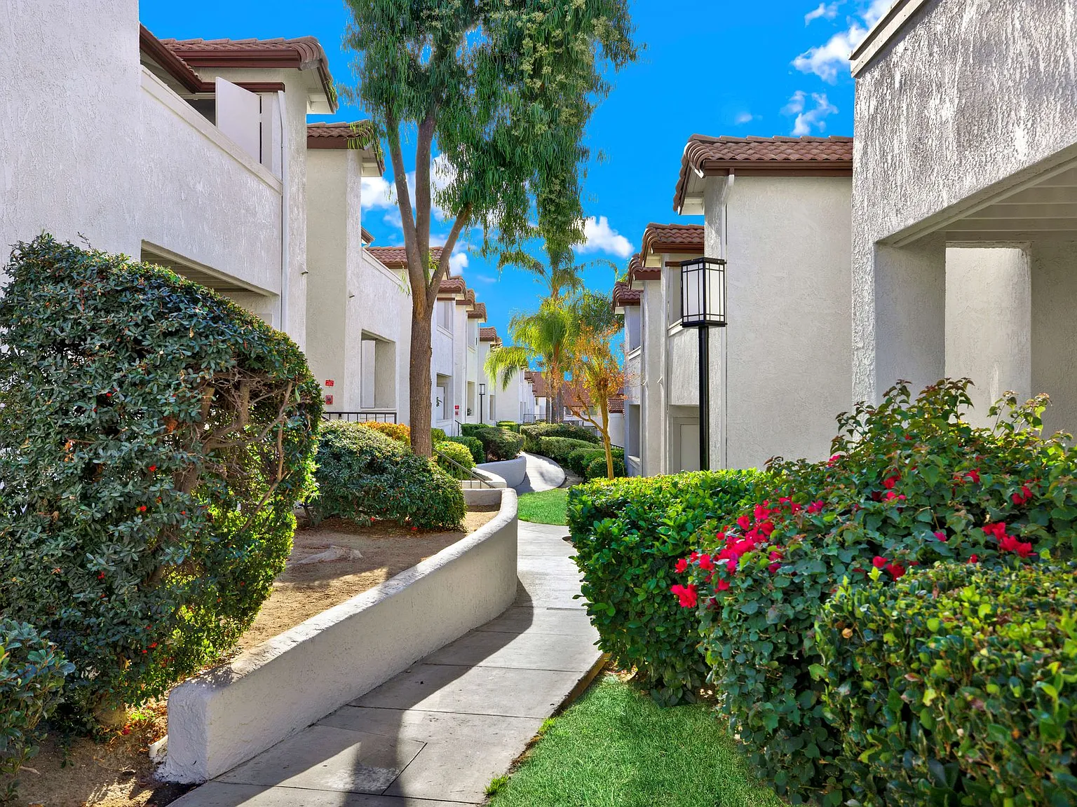 Murrieta Meadows — Photo 2