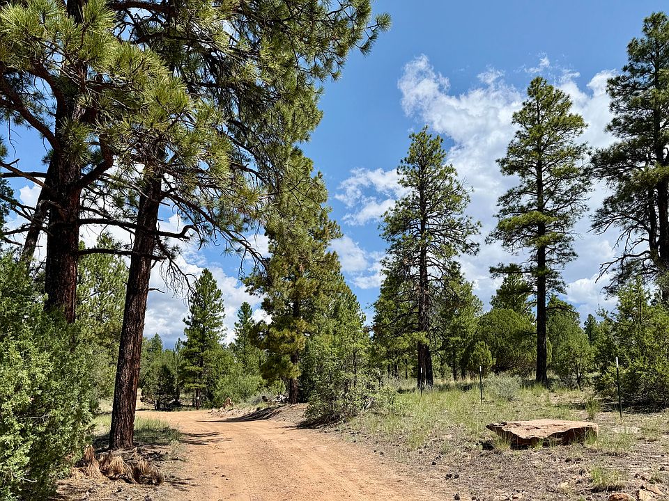 1st image of 3 Leaning Pine Ln