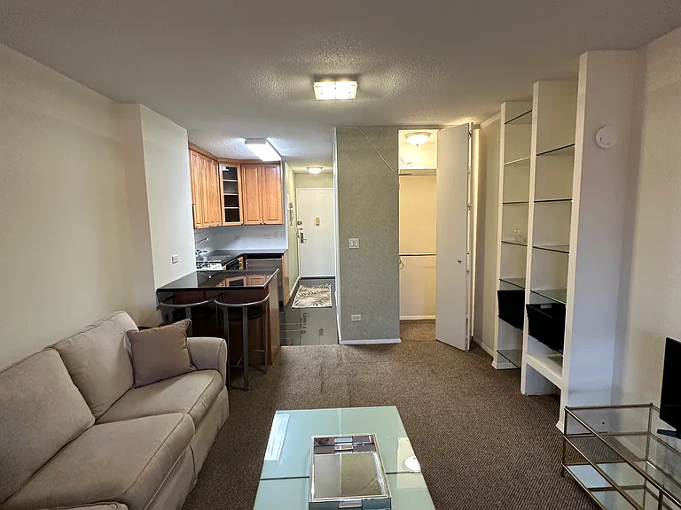 347 W 57th St #20E — Photo 1