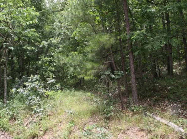 8.99 Ac Hwy #7, Deer, AR 72628
