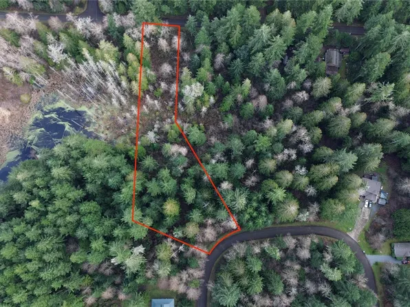 12719 & 12723 96th Street Ct, Anderson Island, WA 98303