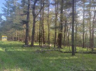 Lindskoog Rd, Alcove, NY 12007