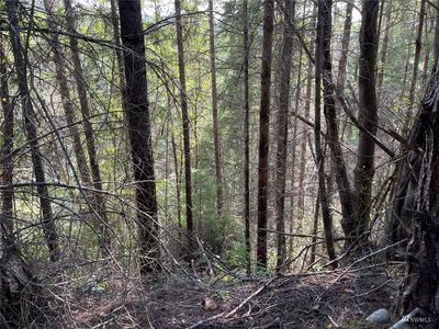 9999 Chickadee Lane, Quilcene, WA, 98376