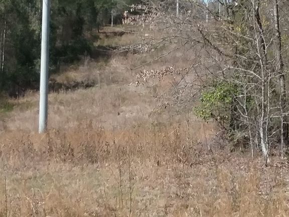 power lines adjacent