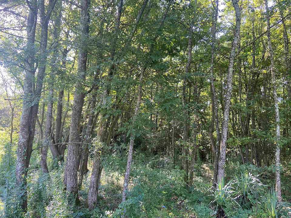 2nd image of 0 Woodson Lateral Rd