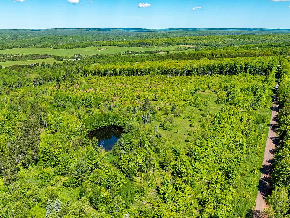 11 Luoto Rd, Pelkie, MI 49958 Zillow
