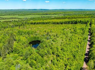 1 Luoto Rd, Pelkie, MI 49958