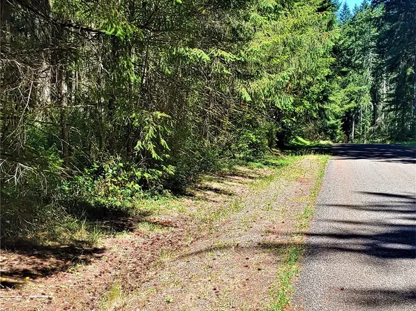 11511 Breaker Wy Road, Anderson Island, WA 98303