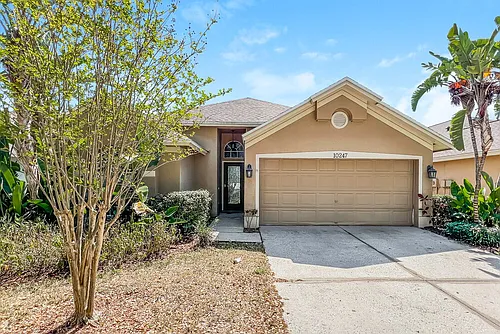 10247 Oasis Palm Dr Photo 1